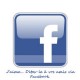 Facebook-Like